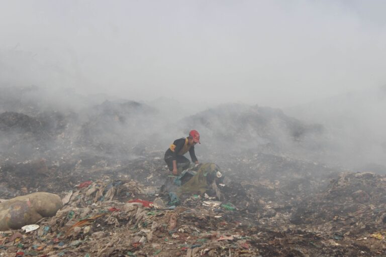 Looking for valuable recyclable items